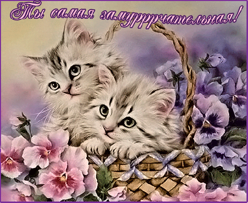 Открытки с животными. Открытки с животными скачать бесплатно.